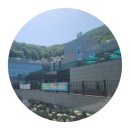별숲 | [양산] 도심 속 쉼표 하나, 양산 '숲애서' 1박2일 체험형 여행 후기