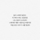 꼭대기집 이미지