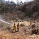 평창읍 평창소방서 강원일보