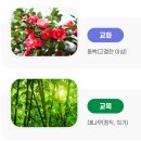 광양제철초등학교 이미지