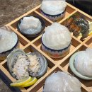 진세이로무시 이미지