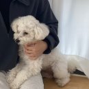 포그니유치원 이미지