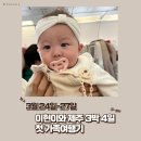 이마트24동강대후문점 | 3월 24일-27일 이현이와 제주 3박 4일 첫 가족여행
