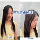 죠이헤어샵 - 서천군 서천향교길 2 | [대구동성로미용실]SF헤어에서 경험하는 역대급 힐링-! AI두피진단 + 밀본스무스 4단계 클리닉