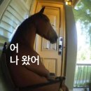너는지금몇살이야너는지금다희도먹을거야?너는지금몇살이야유치원은애기다희야1학년은귀여워김다희2학년...