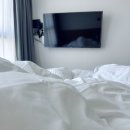 대정읍 한창기계 | 서귀포 게스트하우스 &#34;제주도 수영복 모슬포 엘피 혼술바&#34;스테이로 혼자 자봄