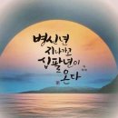 팀매드 - 강서구 명지국제8로 259 | 팀매드