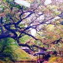 용화목장 | 사진전시회. “세계를 품은 한 장의 여행 — 대한항공 여행 사진 공모전 입상작으로 보는 지구의...