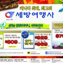 (주)세방여행사 이미지