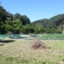 춘천공인중개사사무소 이미지