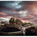 어마무시 이미지