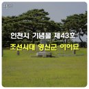 영신군 이이묘 이미지