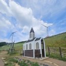 제목 🌼 6월 청옥산 정상 등산 후기 | 육백마지기 샤스타데이지 개화 현황과 주차 정보