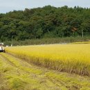 ＜사라네-우렁이쌀,잡곡＞ 쌀 값 내렸습니다.(백미,현미)쌀눈쌀(찹쌀,찰현미)소백산웰빙농원 이미지