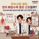 초로동물병원 | 미녹시딜 셰딩, 많이 빠질수록 좋은 신호일까? 2025년 연구가 바꾼 답 💇‍♂️