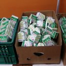 탄현면사무소 이미지