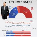 오늘나온 스트레이트 뉴스 여론조사 이미지