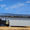 안산태양광발전소 이미지