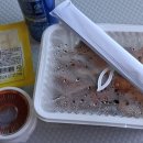 오븐에꾸운닭 | 오븐에꾸운닭 메뉴 로스트그릴드 순살, 갈릭샤워크림, 레드핫소스