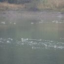 서정마을~서정저수지 이미지