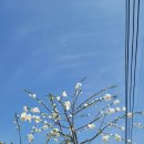 도화민박 이미지