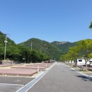 산꽃벚꽃마을 오토캠핑장 네이버블로그