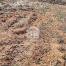 강화114공인중개사사무소 이미지