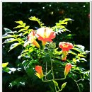 나절로미술관 이미지