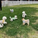 남포역 8번 출구 네이버블로그