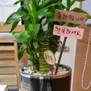 연세수학스터디수학교습소