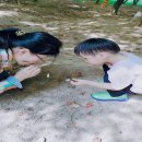 YWCA어린이집 이미지