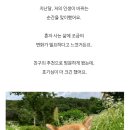 도그마루 강아지고양이 안산점 이미지