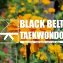 블랙벨트 태권도 도장 이미지