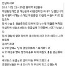 홍대 무단횡단 사고 차주 남편 글 이미지