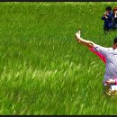 한마음 한뜻 농장 이미지