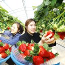 아리향식품 이미지