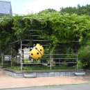 창녕생태곤충원 이미지