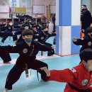 탑특공무술
