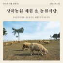 평화농원 | [고창 여행] 상하농원 아기랑 체험 &amp; 농원식당 '버크셔K 샤브샤브' 솔직 후기