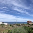 오션피드 이미지