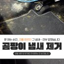 성실자동차서비스 | 자동차 곰팡이 세차 후기: 실내 곰팡이 제거 시공, 이렇게 하면 완전 사라집니다