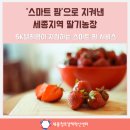 종경농장 네이버블로그