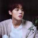 유화(주간) 이미지