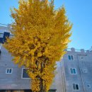 화평동왕갈비 이미지