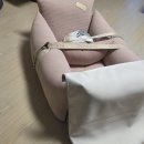 천사펫하우스 | 두그루 6월 베스트 리뷰 모음 🐶 강아지카시트부터 펫체어, 강아지하우스까지