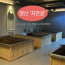 자연발효효소찜질 | 양산 물금 '자연궁' 편백효소찜질 후기 1+1 35,000원! 가성비 힐링데이트 추천ㅣ주차, 샤워, 효소찜질 효능