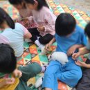 덕계초등학교 병설유치원 이미지