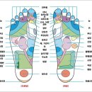 고려수지침 이미지