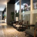 GDR레슨파크 이미지