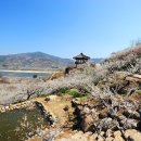 매화마을1 이미지